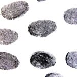 fingerprint, sense, template-456486.jpg